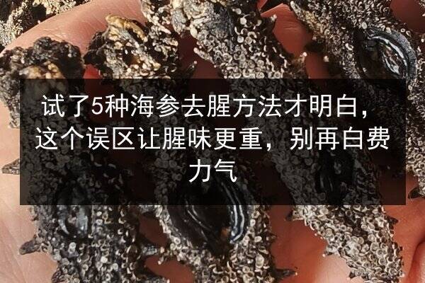 试了5种海参去腥方法才明白，这个误区让腥味更重，别再白费力气