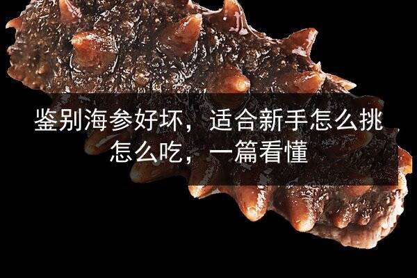 鉴别海参好坏,适合新手怎么挑怎么吃,一篇看懂