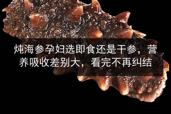 炖海参孕妇选即食还是干参,营养吸收差别大,看完不再纠结