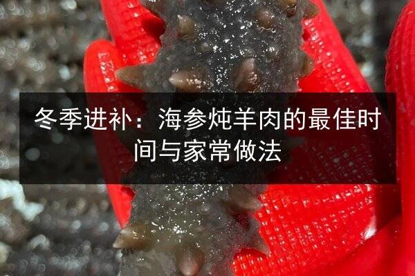 冬季进补:海参炖羊肉的最佳时间与家常做法