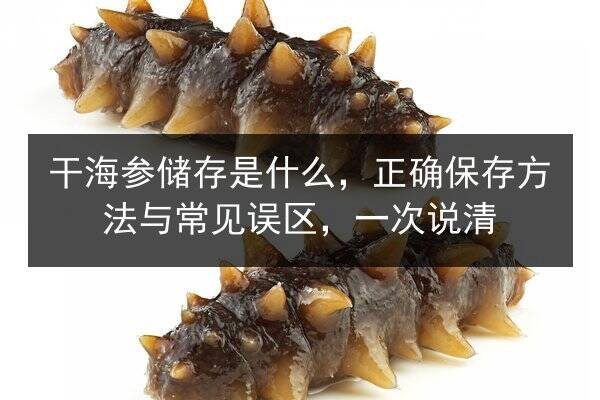 干海参储存是什么,正确保存方法与常见误区,一次说清