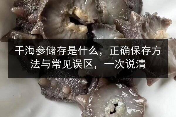 干海参储存是什么,正确保存方法与常见误区,一次说清