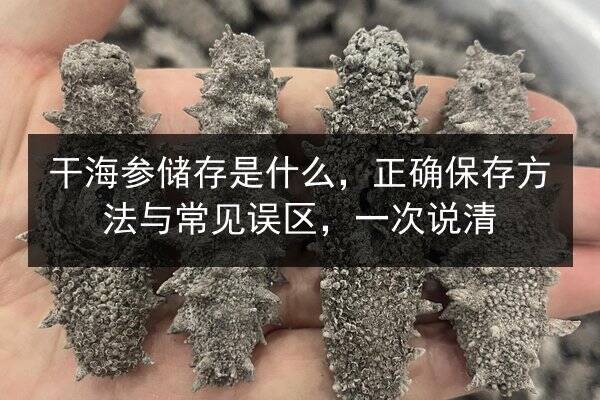 干海参储存是什么,正确保存方法与常见误区,一次说清