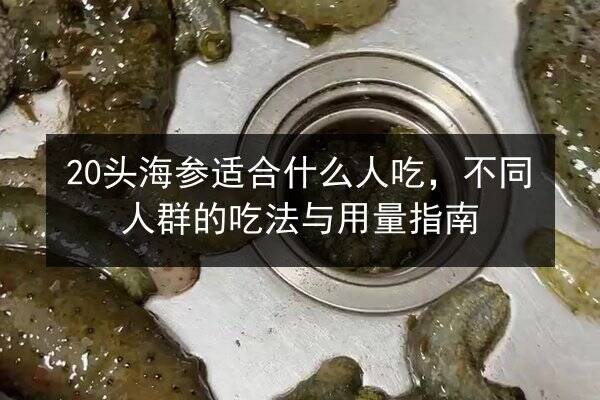 20头海参适合什么人吃,不同人群的吃法与用量指南