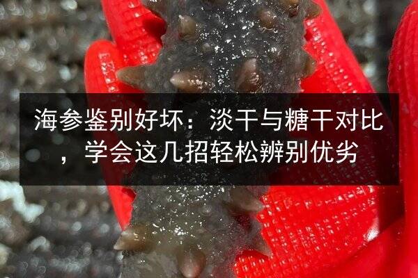 海参鉴别好坏:淡干与糖干对比,学会这几招轻松辨别优劣