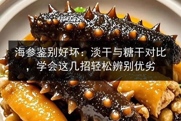 海参鉴别好坏:淡干与糖干对比,学会这几招轻松辨别优劣
