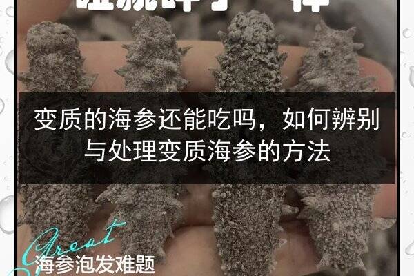 变质的海参还能吃吗，如何辨别与处理变质海参的方法