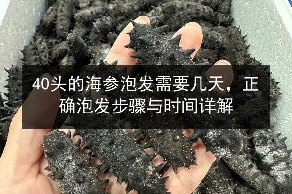 40头的海参泡发需要几天,正确泡发步骤与时间详解