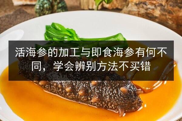 活海参的加工与即食海参有何不同，学会辨别方法不买错