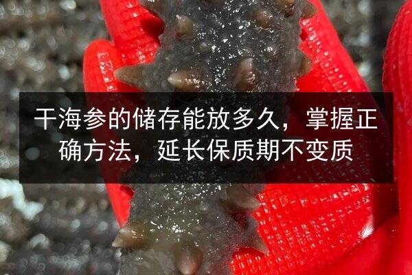 干海参的储存能放多久,掌握正确方法,延长保质期不变质