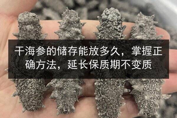 干海参的储存能放多久,掌握正确方法,延长保质期不变质