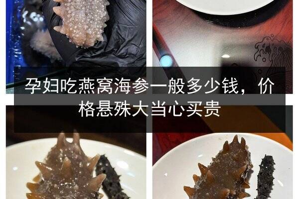 孕妇吃燕窝海参一般多少钱,价格悬殊大当心买贵