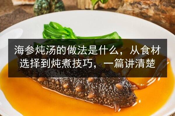 海参炖汤的做法是什么，从食材选择到炖煮技巧，一篇讲清楚