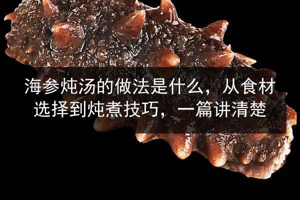 海参炖汤的做法是什么，从食材选择到炖煮技巧，一篇讲清楚
