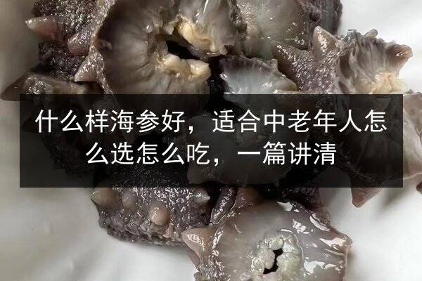 什么样海参好,适合中老年人怎么选怎么吃,一篇讲清