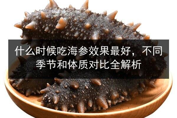 什么时候吃海参效果最好,不同季节和体质对比全解析