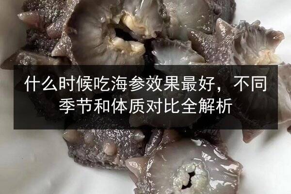 什么时候吃海参效果最好,不同季节和体质对比全解析