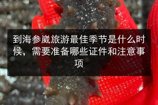 到海参崴旅游最佳季节是什么时候,需要准备哪些证件和注意事项
