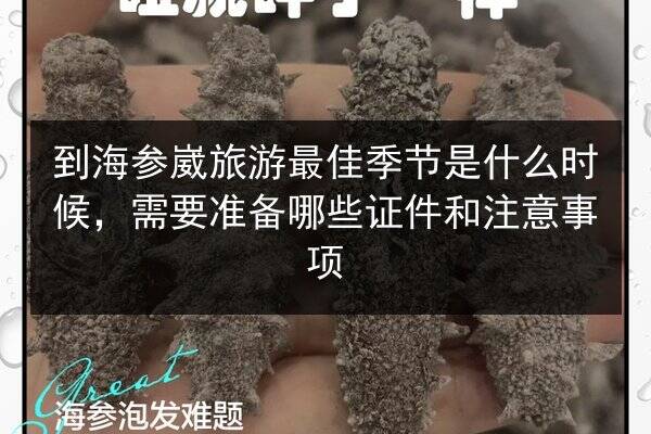 到海参崴旅游最佳季节是什么时候,需要准备哪些证件和注意事项