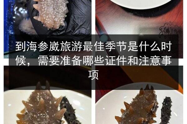 到海参崴旅游最佳季节是什么时候,需要准备哪些证件和注意事项