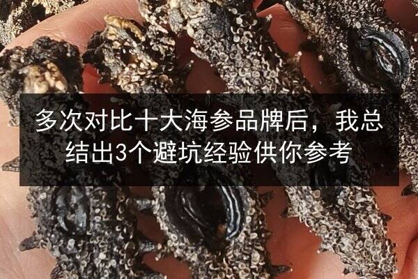 多次对比十大海参品牌后,我总结出3个避坑经验供你参考