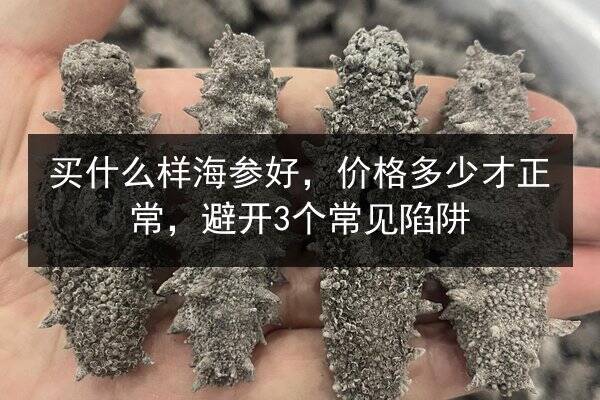 买什么样海参好，价格多少才正常，避开3个常见陷阱