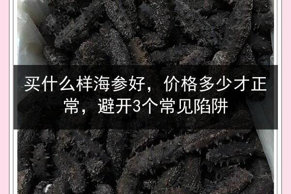 买什么样海参好，价格多少才正常，避开3个常见陷阱