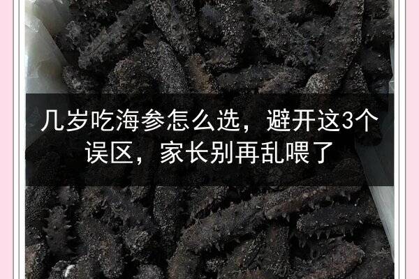 几岁吃海参怎么选,避开这3个误区,家长别再乱喂了