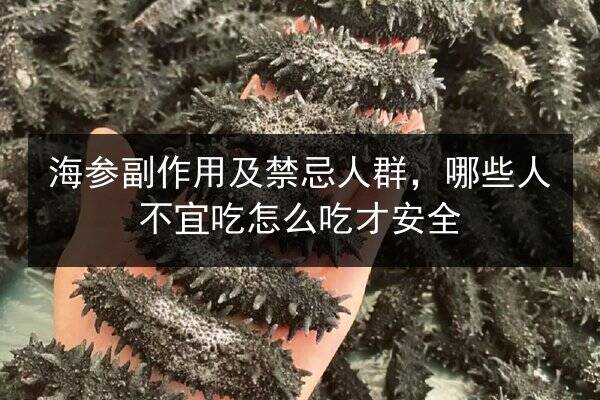 海参副作用及禁忌人群，哪些人不宜吃怎么吃才安全