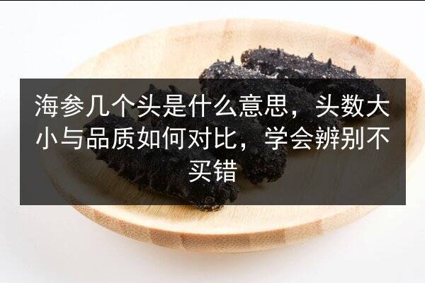 海参几个头是什么意思,头数大小与品质如何对比,学会辨别不买错