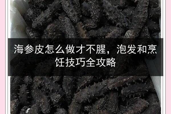 海参皮怎么做才不腥，泡发和烹饪技巧全攻略