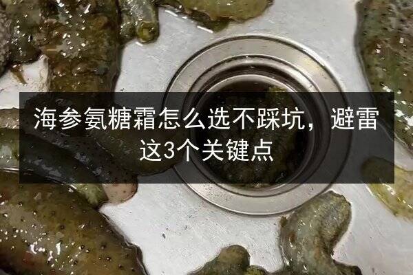 海参氨糖霜怎么选不踩坑,避雷这3个关键点