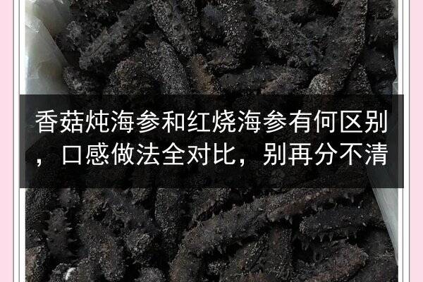 香菇炖海参和红烧海参有何区别,口感做法全对比,别再分不清