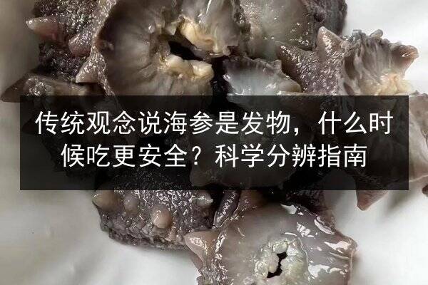 传统观念说海参是发物,什么时候吃更安全?科学分辨指南