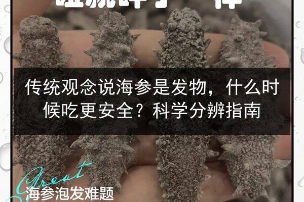 传统观念说海参是发物,什么时候吃更安全?科学分辨指南
