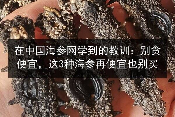 在中国海参网学到的教训:别贪便宜,这3种海参再便宜也别买