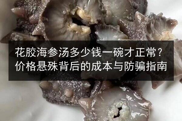 花胶海参汤多少钱一碗才正常?价格悬殊背后的成本与防骗指南