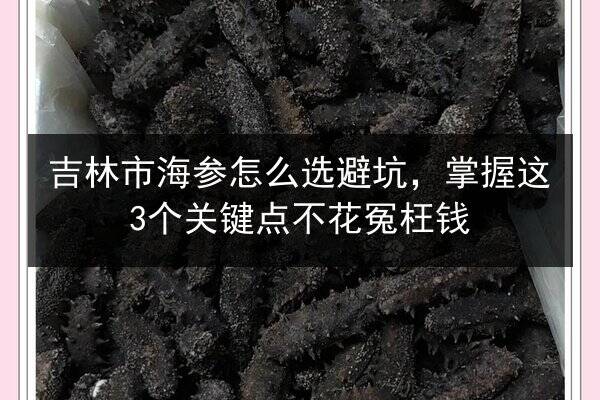 吉林市海参怎么选避坑,掌握这3个关键点不花冤枉钱