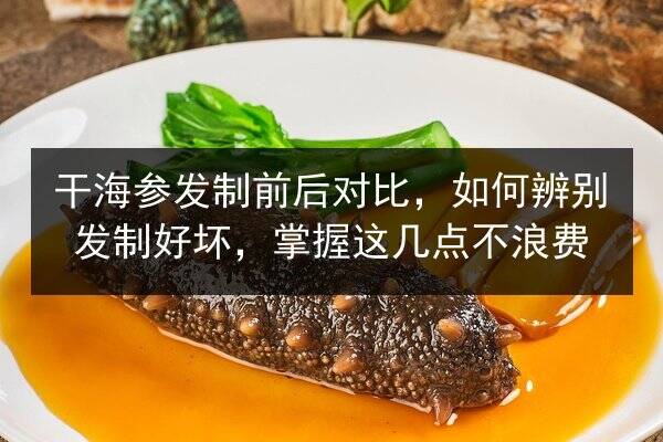 干海参发制前后对比,如何辨别发制好坏,掌握这几点不浪费
