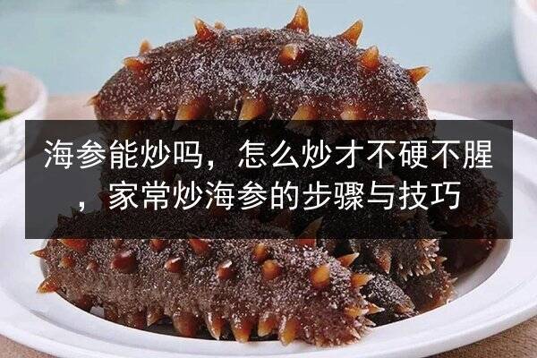 海参能炒吗，怎么炒才不硬不腥，家常炒海参的步骤与技巧