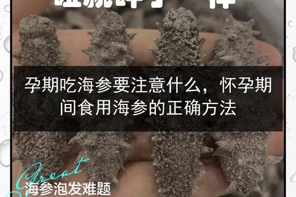 孕期吃海参要注意什么，怀孕期间食用海参的正确方法