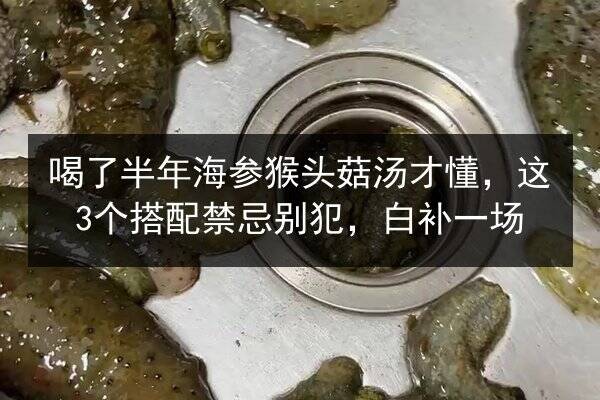 喝了半年海参猴头菇汤才懂,这3个搭配禁忌别犯,白补一场