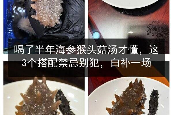 喝了半年海参猴头菇汤才懂,这3个搭配禁忌别犯,白补一场