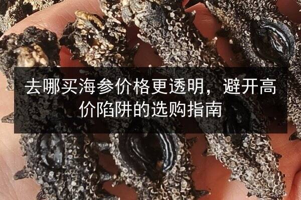 去哪买海参价格更透明，避开高价陷阱的选购指南