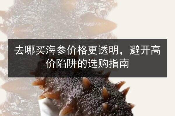 去哪买海参价格更透明，避开高价陷阱的选购指南