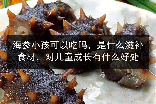 海参小孩可以吃吗,是什么滋补食材,对儿童成长有什么好处