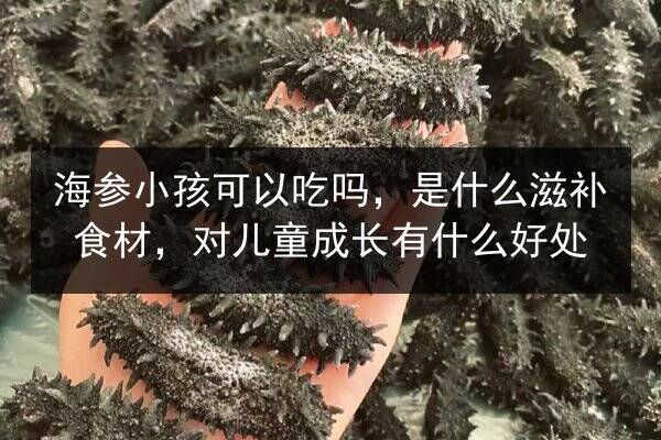 海参小孩可以吃吗,是什么滋补食材,对儿童成长有什么好处