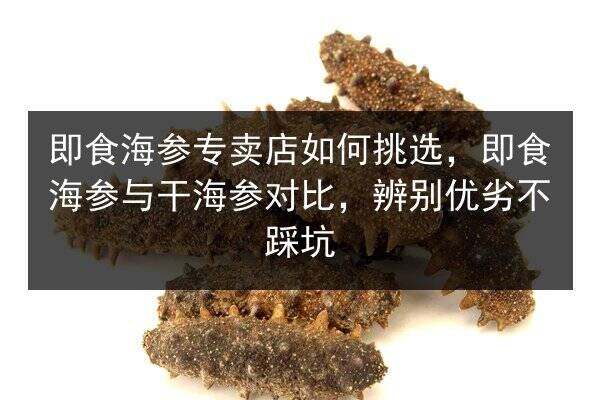 即食海参专卖店如何挑选,即食海参与干海参对比,辨别优劣不踩坑