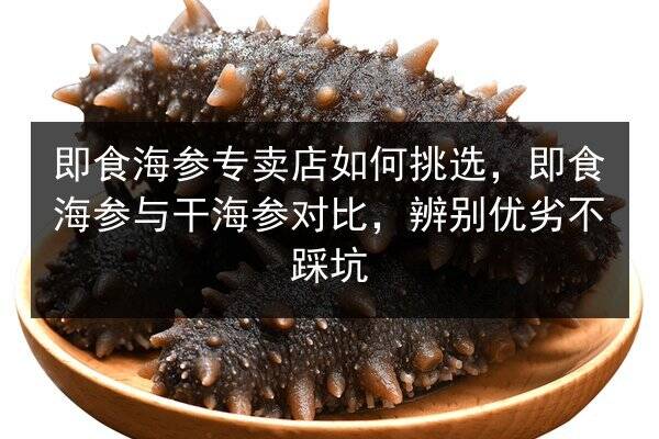 即食海参专卖店如何挑选,即食海参与干海参对比,辨别优劣不踩坑