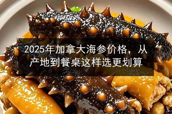 2025年加拿大海参价格，从产地到餐桌这样选更划算